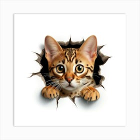 Bengal Cat 1 Art Print