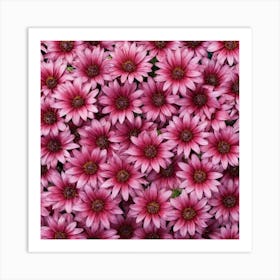 Pink Daisy 1 Art Print