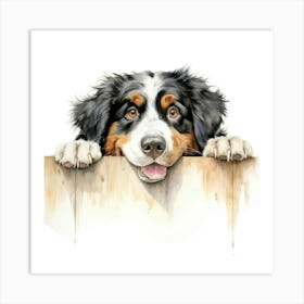 Bernese Mountain Dog 3 Art Print