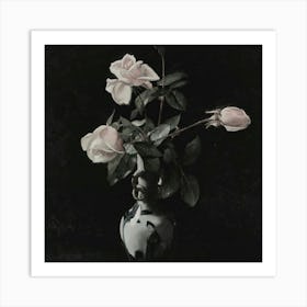 Roses 36 Art Print