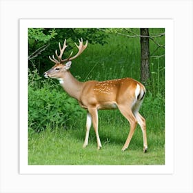 Deer Buck Doe Antlers Herbivore Mammal Graceful Elegant Wildlife Forest Meadow Grazing A (3) Art Print