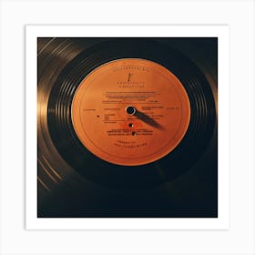 Vinyl Record 5 Art Print