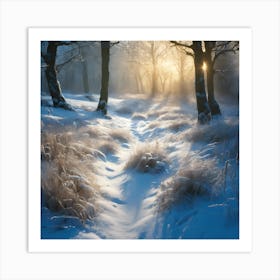 Shadows of Winter Sunlight on Woodland Snow Art Print