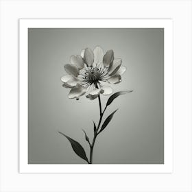 Black And White Flower 2 Art Print