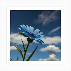 Blue Daisy Art Print