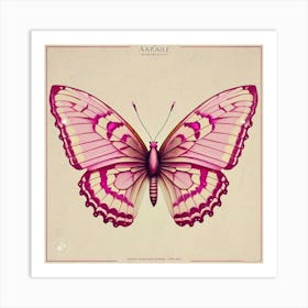 Asian Butterfly Art Print