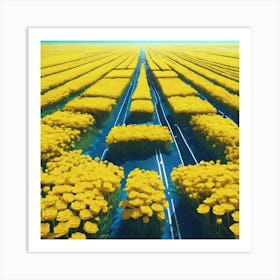 Field Of Yellow Flowers 36 Art Print