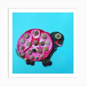 Tortoise Art Print