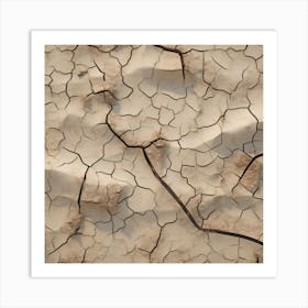 Cracked Earth 7 Art Print