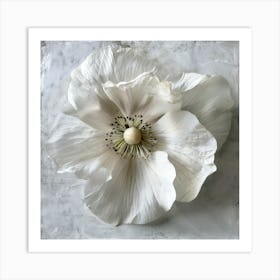 White Poppy Art Print