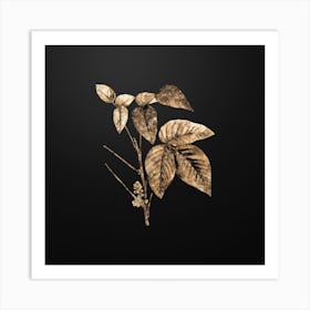 Gold Botanical Eastern Poison Ivy on Wrought Iron Black n.0226 Art Print