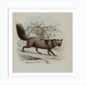 Foxes 1 Art Print