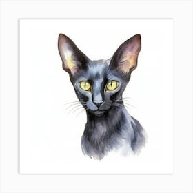 Black Oriental Cat Portrait 1 Art Print