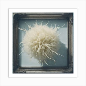 'Snowball' Art Print