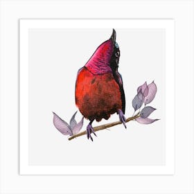 Bird On A Branch 2 Art Print