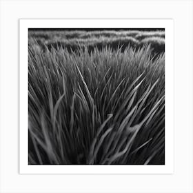 Field Of Grass Art Print