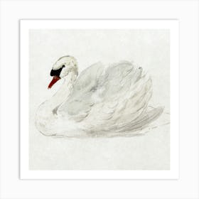 Watercolor Swan Art Print