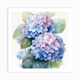  Painting Of Hydrangeas  Art Print