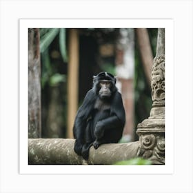 Monkey In The Forest 1 Art Print