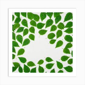 Green Leaves On White Background Art Print