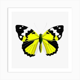 Butterfly yellow Art Print