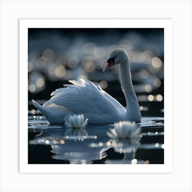 Swan In Water 1 Art Print