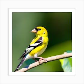 Goldfinch 4 Art Print