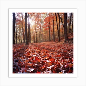 Autumn Forest With A Carpet Of Fallen Leaves Art Print