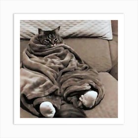 Cat Wrapped In Blanket Art Print