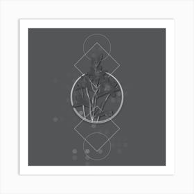 Vintage St. Bruno's Lily Botanical with Line Motif and Dot Pattern in Ghost Gray n.0116 Art Print