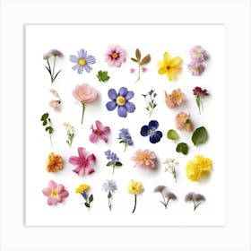 Dried Wild Flowers 10 Art Print