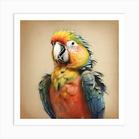 Parrot 43 Art Print