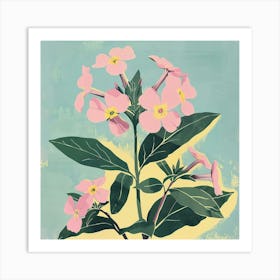 Phlox Square Flower Illustration Art Print