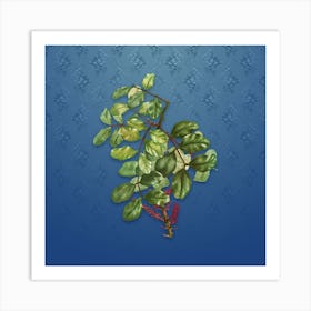 Vintage Carob Tree Botanical on Bahama Blue Pattern n.0008 Art Print