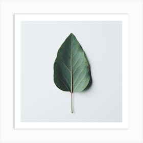 Eucalyptus Leaf 5 Art Print