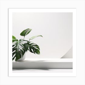 White & Monstera Product background 3 Art Print