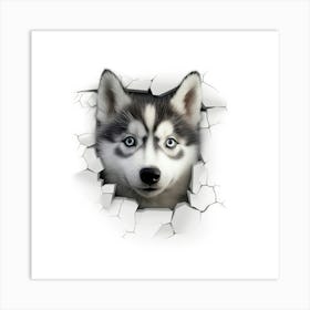 Husky Dog Art Print