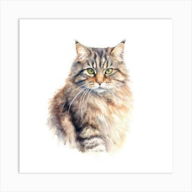 Pallass Cat Portrait 1 Art Print