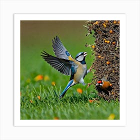 Bird Natural Wild Wildlife Tit Sparrows Sparrow Blue Red Yellow Orange Brown Wing Wings (46) Art Print