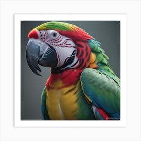 Colorful Parrot Art Print