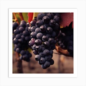 Black Grapes On The Vine 1 Art Print