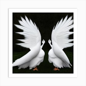 Two White Geese Art Print