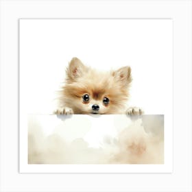 Pomeranian Puppy On A Sign Art Print