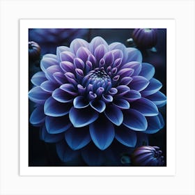 Indigo Dahlia 2 Art Print