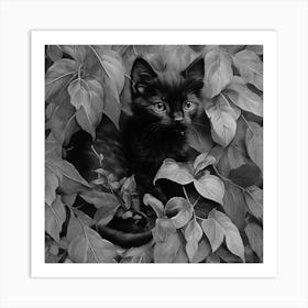 Black and White Black Kitten In Leaves 4 Art Print