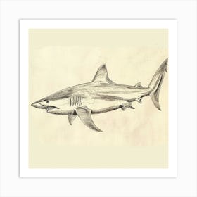 Vintage Shark Pencil Illustration 3 Art Print