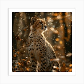 Cheetah 24 Art Print