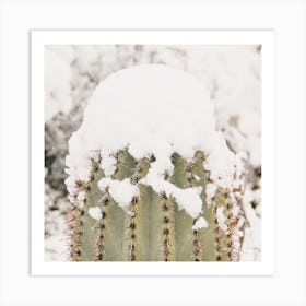 Snowy Saguaro Arm Art Print