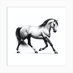 Horse Galloping 6 Art Print