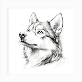 Siberian Husky 1 Art Print